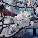 Маша Мамедова, 17.12.1997, Баку