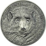 Вячеслав Монеткин, Москва