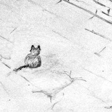 Александр Чечихин, 04.11, Шадринск