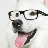 Денис Исабаев