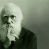 Андрей Проценко, 19.01.1987, Днепр (Днепропетровск)