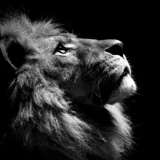 Надия Абдрахманова, 10.08.1989, Костанай