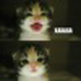 Лина Садовникова, 20.06.1990, Новокузнецк