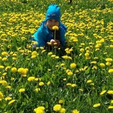 Аделя Хабирова, 18.05.1988, Нефтекамск