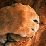 Павел Котельников, 08.04.1986, Москва