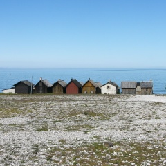 Антон Ракитин, 29.06.1982