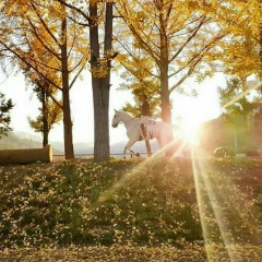 Dilnara Zaitova, 06.12