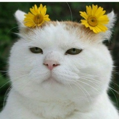 Ксения Сергеевна, 28.02, Челябинск