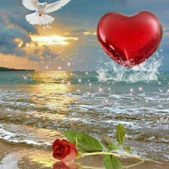 Aku Mamatkalykova, 01.12.1991, Бишкек