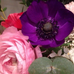 Jamilya Zhumatova, 27.12, Алматы