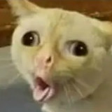 Сергей Ветров, 09.06.1983