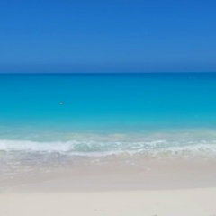 Анна Залевская, Москва