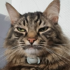 Диана Амаханова, 20.06.1991, Махачкала