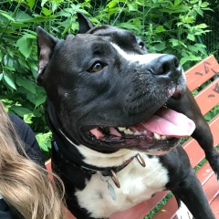 Дина Галкина, 14.03, Москва