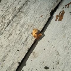 Ирина Ушакова, 08.10.1985