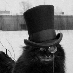 Константин Дмитриев, 08.08, Новосибирск