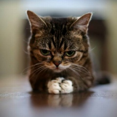 Игорь Ап, 24.09.1982, Волгоград