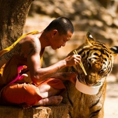 Dima Boosh, 30.06.1986, Киев