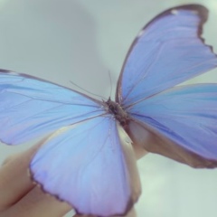 Ирина Дуля, 28.09, Козелец