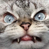 Ден Зверев, 26.11, Санкт-Петербург