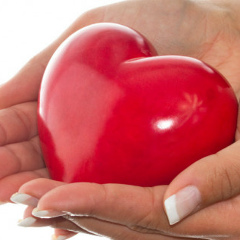 Светлана Будённая, Гродно