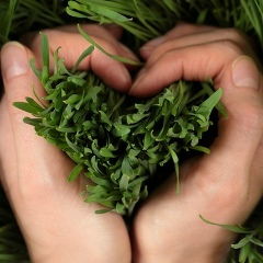 Лариса Ибрагимова, 03.06, Днепр (Днепропетровск)