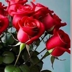 Людмила Лопатко (Черкашина), 02.07.1951, Псков