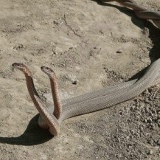 Наталия Гамидова, 19.01, Санкт-Петербург