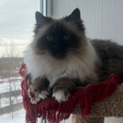 Елена Казакова, 22.01.1985, Егорьевск