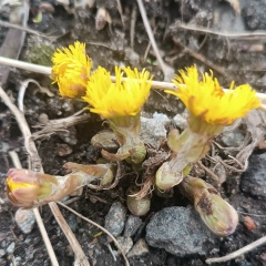 Татьяна Львова, 25.07.1984