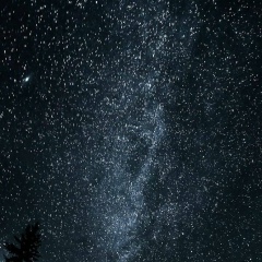 Андрей Александрович