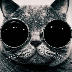 Дмитрий Базин, 13.11.1987, Харьков