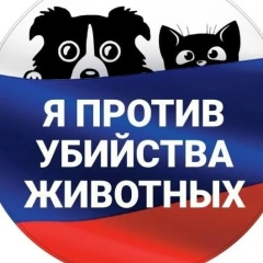 Евгения Калинская, Донецк