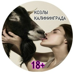 Екатерина Козлова, Калининград