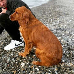 Геннадий Локтев, Ступино