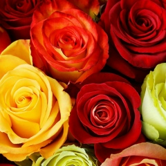 Заяна Мангатова, 07.04