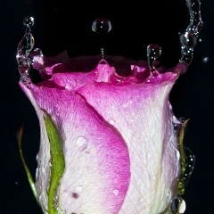 Анастасия Куликова, 06.04, Санкт-Петербург