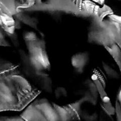 Дмитрий Божинский, 27.08.1984, Краснодар