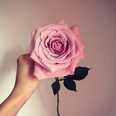 Тоғжан Бегайдарова, 27.11.1994, Кызылорда