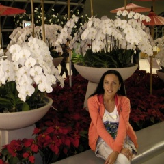 Лариса Бечелова, Санкт-Петербург