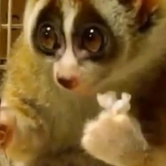 Ефим Горовой, 06.03, Пятигорск