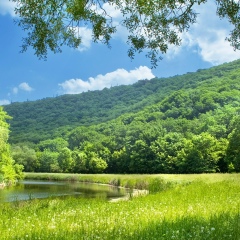 Сметанин Игорь, 26.02.1987, Невинномысск