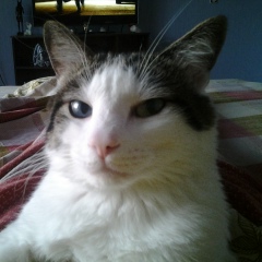 Александр Алексеев, 08.09, Санкт-Петербург