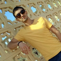 Артур Файзуллин, Ульяновск