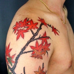 Tayfun şahin, 14.06.1961, İstanbul