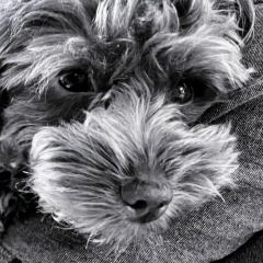 Stanislav Prorokov, 02.03.1977, Санкт-Петербург