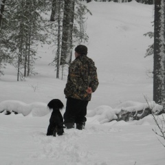 Александр Гапоненко, Санкт-Петербург