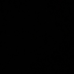 Роман Лаврентьев, Томск