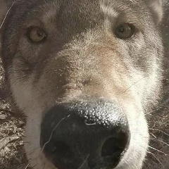 Владимир Седов, 12.09, Санкт-Петербург