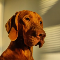 Vasily Kashirin, 13.06, Москва